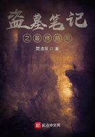 盗墓笔记之最终结局在线阅读