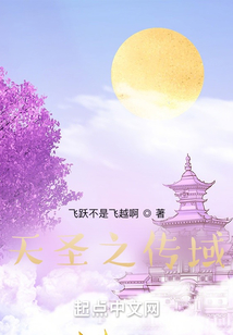 天圣之傳域