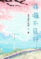 梓海不见轩在线阅读