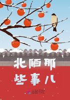 北陌那些事儿在线阅读