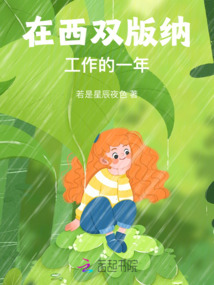 在西雙版納工作的一年