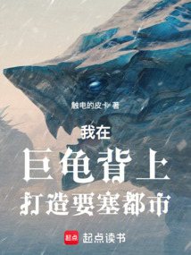 我在巨龜背上打造要塞都市
