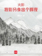 火影:我影分身出个辉夜在线阅读