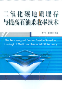 二氧化碳地質(zhì)埋存與提高石油采收率技術(shù)