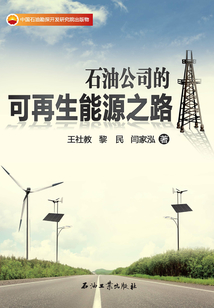 石油公司的可再生能源之路