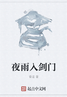 夜雨入劍門在線閱讀