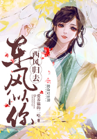 東風似你西風歸去在線閱讀