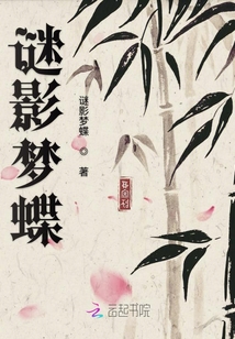 谜影梦蝶