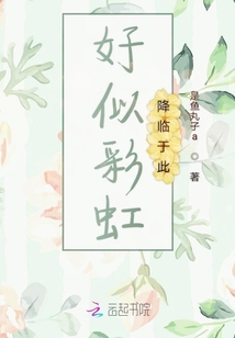 好似彩虹降臨于此