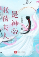 我的夫人是神帝在線閱讀