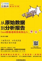 从原始数据到分析报告：Excel数据透视表高效达人养成记在线阅读