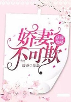 總裁攻略：嬌妻不可欺在線閱讀