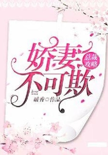 總裁攻略:嬌妻不可欺