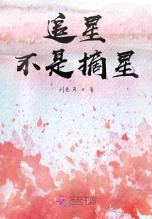 追星不是摘星