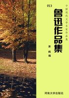 中国现代文学名家作品集：鲁迅作品集（七）
