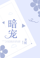 暗寵在線閱讀