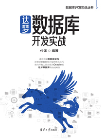 達夢數據庫開發實戰