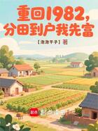 重回1982,分田到户我先富在线阅读