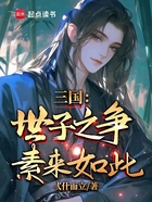 三国:世子之争,素来如此在线阅读