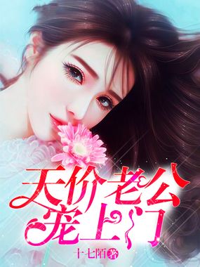 天价老公宠上门在线阅读