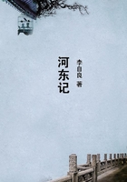河?xùn)|記在線閱讀