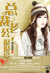 總裁老公,很很愛