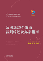 公司法25个案由裁判综述及办案指南在线阅读