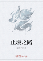 止境之路在線(xiàn)閱讀