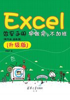 Excel效率手册：早做完，不加班 （ 精华版·函数篇）（升级版）