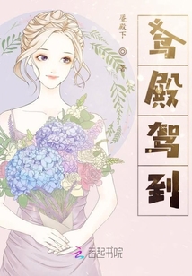 鳶殿駕到