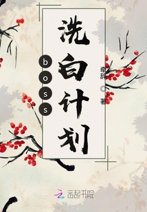 boss洗白計劃