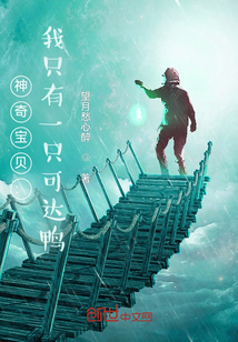 神奇寶貝：我只有一只可達鴨
