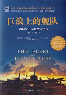 巨浪上的艦隊