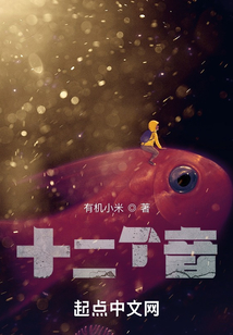 十二个音