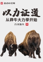 以力證道：從莽牛大力拳開始在線閱讀