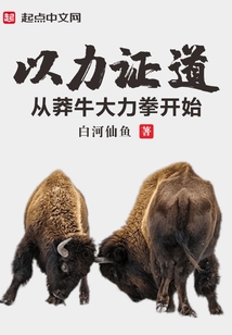 以力證道：從莽牛大力拳開始