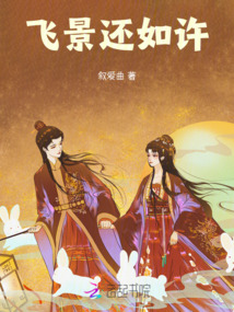 飛景還如許