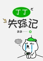 丁丁失踪记在线阅读