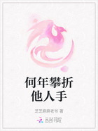 何年攀折他人手在线阅读