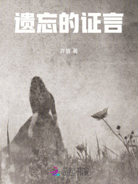 遗忘的证言在线阅读