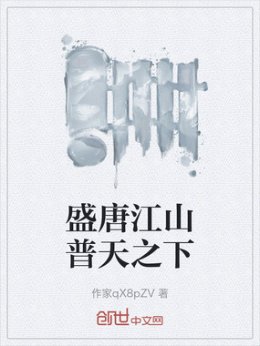 盛唐江山普天之下在线阅读