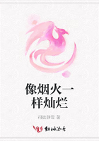 像煙火一樣燦爛在線閱讀
