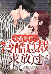 抢婚进行时:冷酷总裁求放过