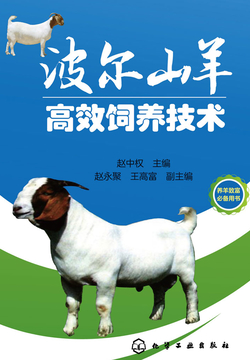 波尔山羊高效饲养技术 封面