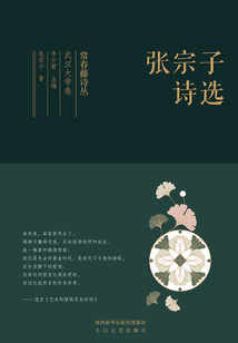 常春藤詩叢武漢大學卷·張宗子詩選