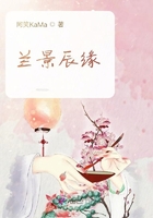 蘭景辰緣在線閱讀