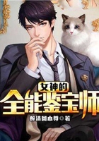 女神的全能鉴宝师在线阅读