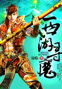 西游寻魔 cover
