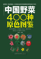 中国野菜400种原色图鉴在线阅读