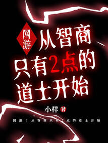 網游：從智商只有2點的道士開始